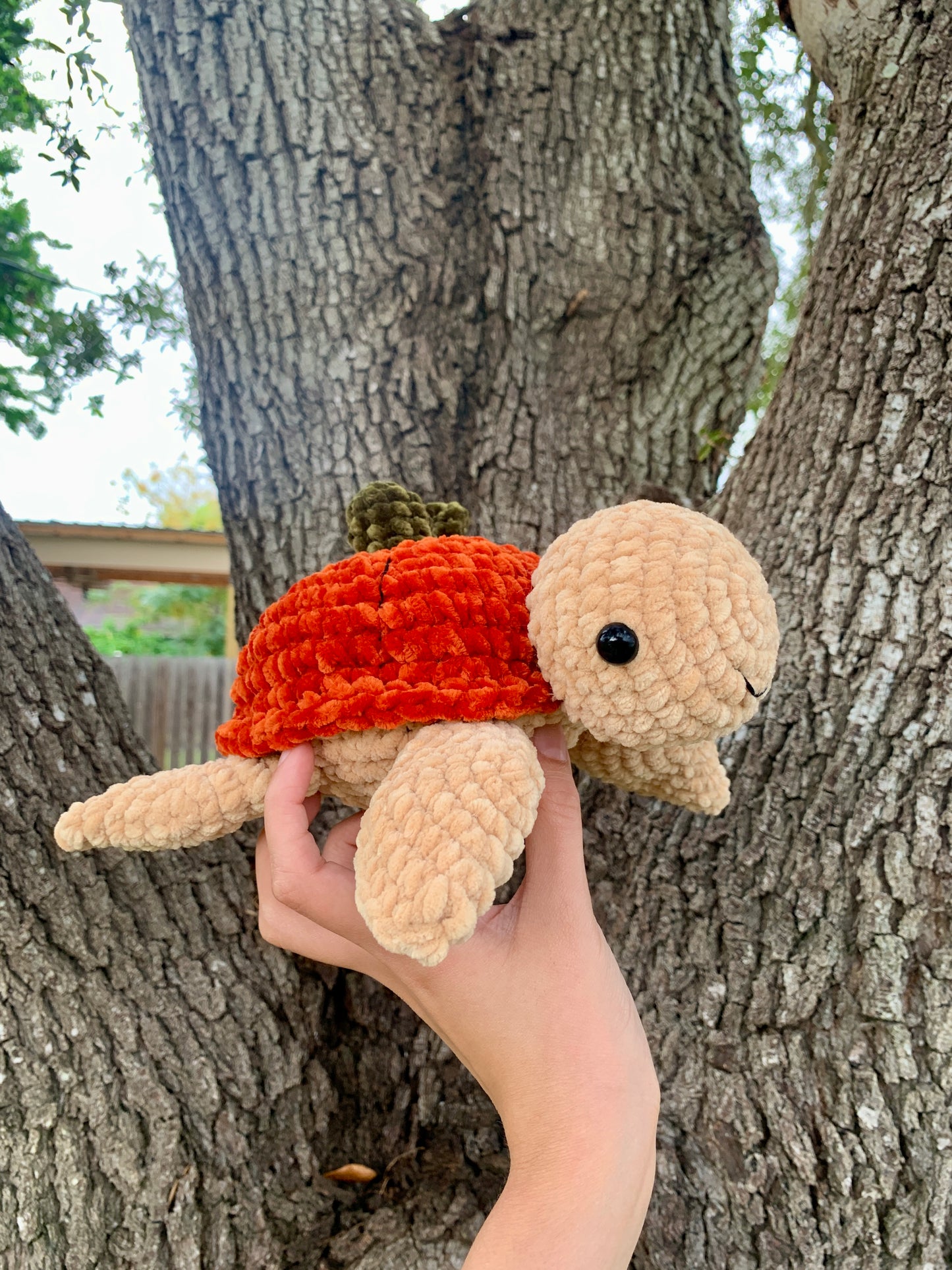 Pumpkin Turtle Plushie 🎃