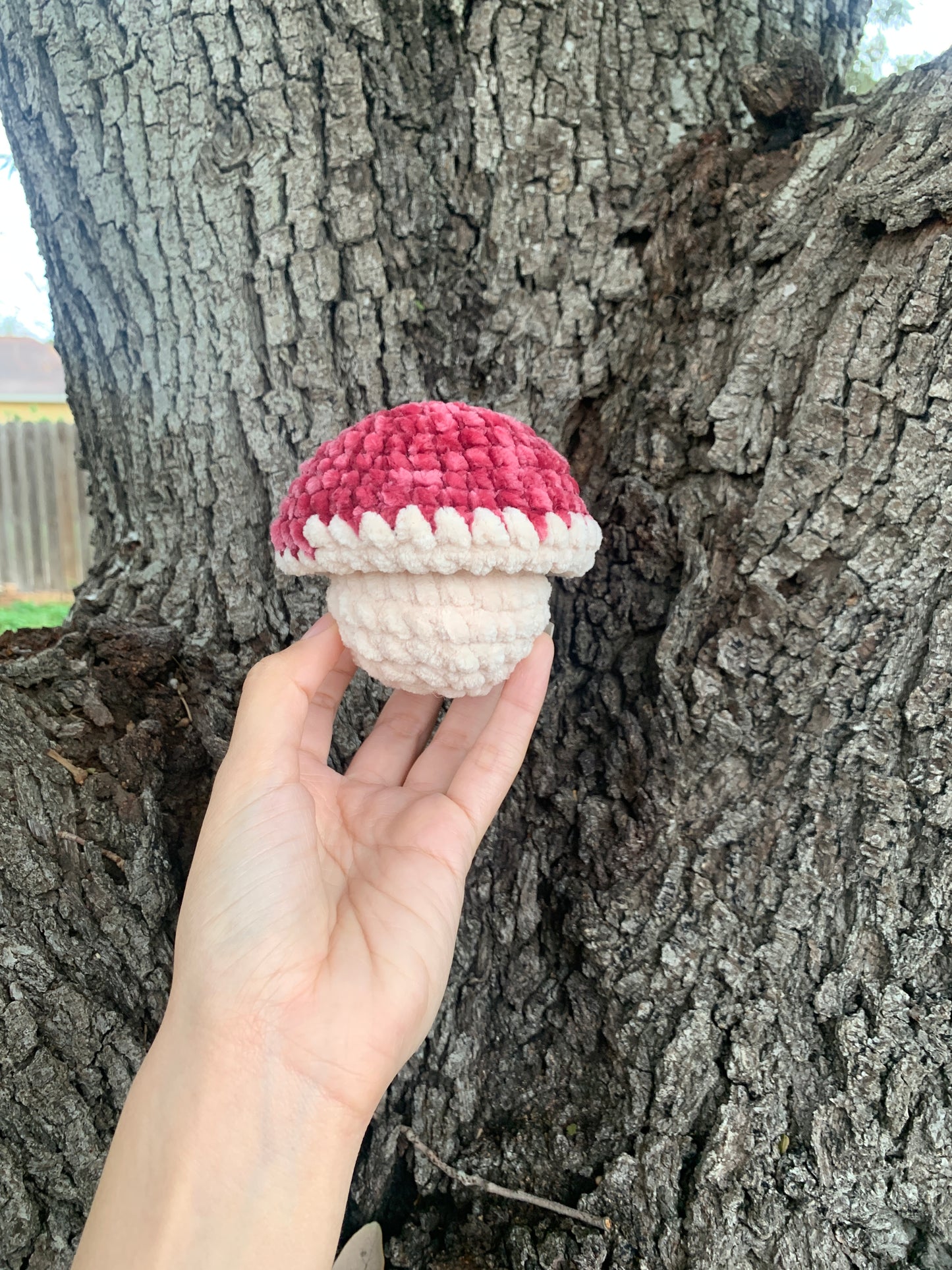 Valentine Mini Mushroom