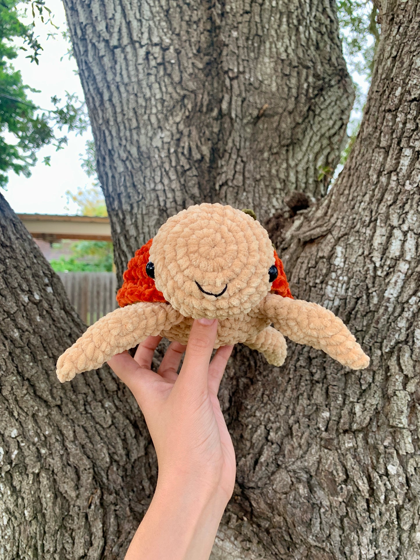 Pumpkin Turtle Plushie 🎃